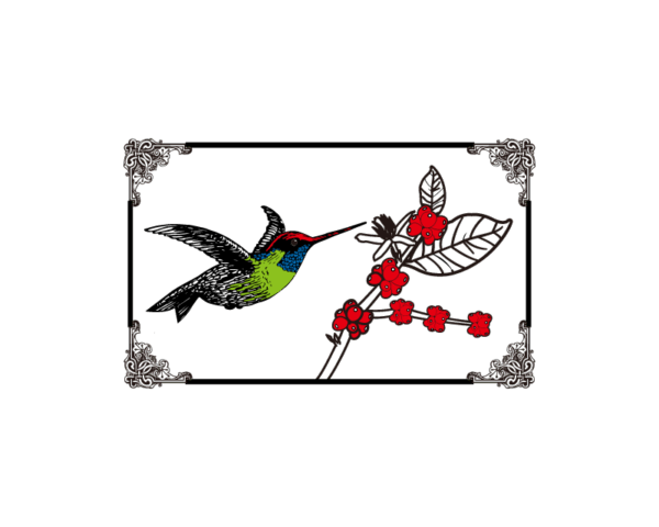 <span class="hot">熱</span>哥斯大黎加 🇨🇷 聖蘿蔓處理廠 蜂鳥 水洗