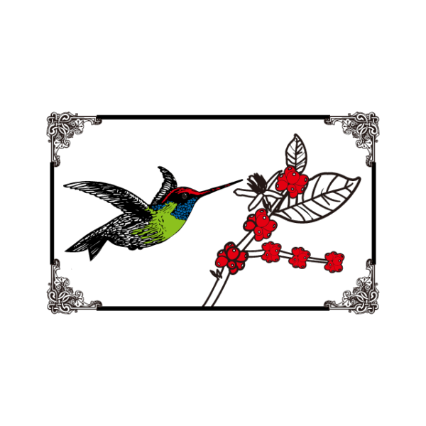 <span class="hot">熱</span>哥斯大黎加 🇨🇷 聖蘿蔓處理廠 蜂鳥 水洗