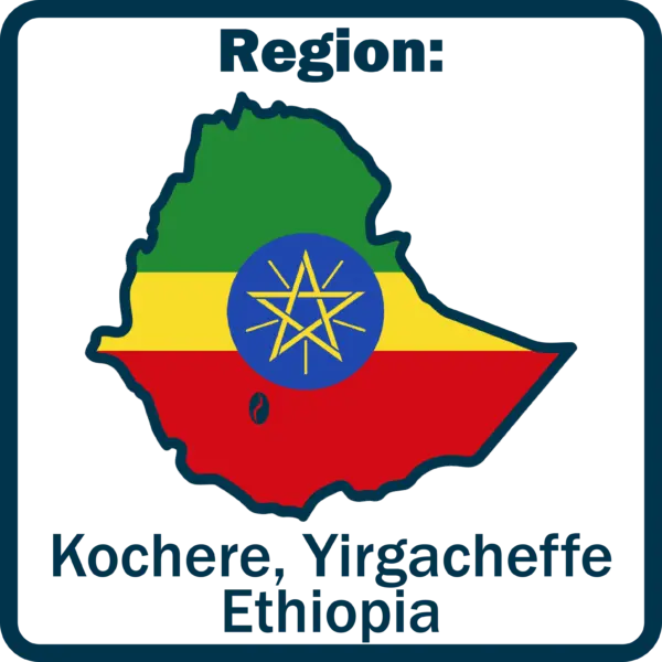 <span class="ice">冰</span>衣索比亞 🇪🇹 耶加雪菲 科契爾 G1